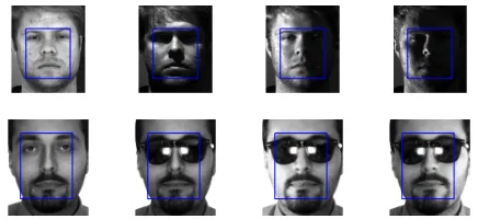 Figure 2. Examples of images used in our experiments (prior tothe application of an afﬁne transformation)