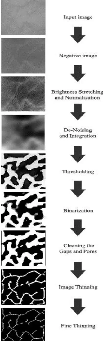 Figure (3) illustrates the sub-bands labeling depending on their contents. 