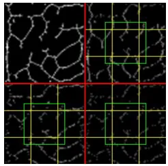 Figure (5) illustrates the sub-bands after dividing them into overlapped blocks. 