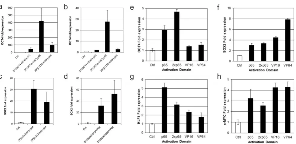 Figure 2. Commonly used engineered transcription factors for gene manipulation. Zinc finger proteins (a) TALEs (b) and dCas9 (c) are used as DNA binding domains structures are of zinc finger proteins, TALEs, and spCas9 (nuclease active) not fused to effect