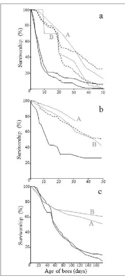 Fig. 2.            Survivorship curves of bees from the two replicate experiments conducted in (a) summer, (b) one experiment in autumn, (c) winter that were infected with overt DWV as pupae (solid black line), or as adults (black dashed line) since these 