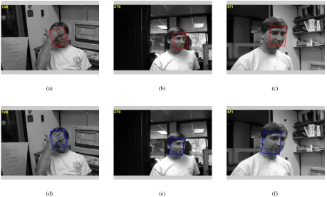 Figure 1. Appearance-based tracking using incremental PCA. (a)-(c) Tracking using a bank of multi-scale Gaussian ﬁlters