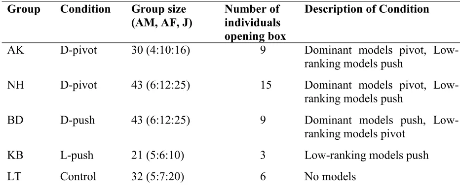 Table 1: Allocation of groups to conditions, group sizes and number of individuals who opened 