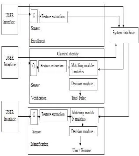 Fig 1: Three Stages of Biometric System 