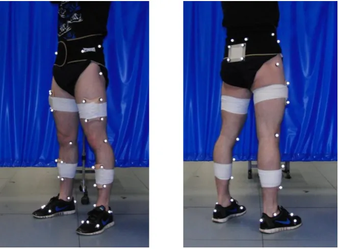 Figure 3.4 - 3D anatomical and rigid marker setup. 
