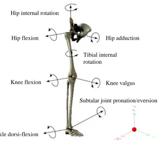 Figure 3.6 – Lower extremity segment and joint rotation denotations. X equals flexion-extension, Y abduction-adduction/varus-valgus and Z internal-external rotation