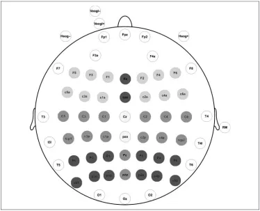 Figure 1. Schematicdistribution of recordingsites, indicating lateral andmidline electrode groups.