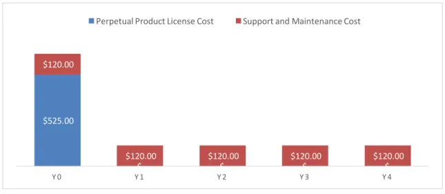 Figure 4: Typical Perpetual License Cost Structure 