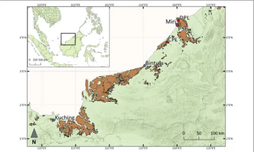 FIGURE 1 | Map showing the geographical location of Sarawak, Malaysian Borneo (inner box), within Southeast Asia, annotated with the main settlements (bluePeatland)