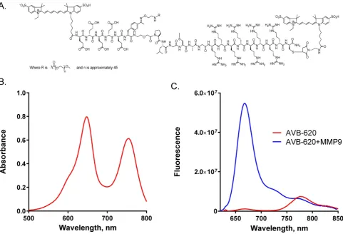 Figure 1. AVB-620 structure, absorbance and fluorescence properties. (A) Structure of AVB-620