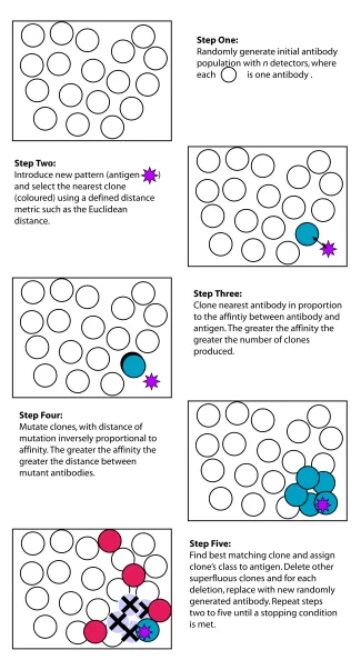 Fig. 3 An illustration of clonal selection.
