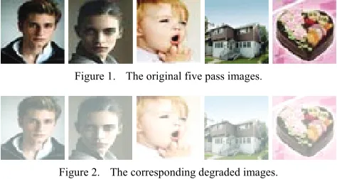 Figure 1.  The original five pass images. 