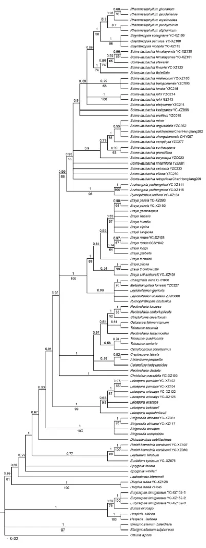 Figure 1. Phylogenetic tree resulting from Bayesian analysis of the ITS sequences of the 88 Brassi-caceae species, of which 28 genera and 82 species in Euclidieae