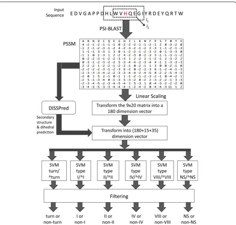 Figure 1 The architecture of ourusing a window of five residues ([5] utilises PSSMs to predict three-state secondary structures and seven-state dihedral angles, which are transformed into a vector of 50 attributesPSSM values, while the other,BLAST [46], th