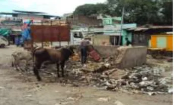Fig 2 Waste lying in market area 