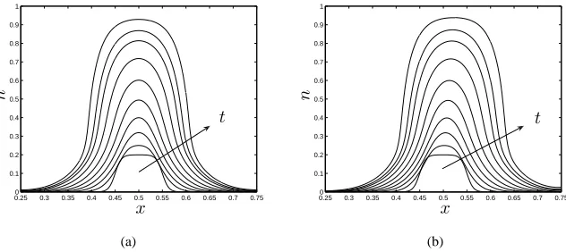 Figure 3: Evolution of the cell volume fraction nvalues:(b) perfusion: for (a) static culture: Pu = Pd = 0, Pu = 1, Pd = 0.1, at t = 0 − 0.297 (in steps of t = 0.033)