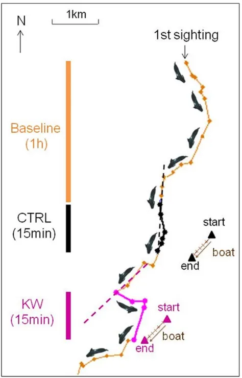 Figure 1. Track of tagged whale gm10_158d. Each dotcorresponds to 1 sighting. Orange: baseline period