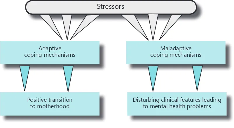 Figure 4.1 Adaptation to stress.