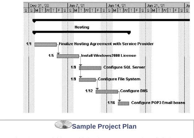 Figure 6.2. Sample GANTT Chart Display in MS Project 