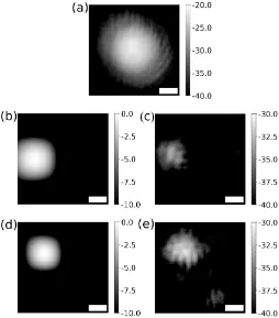 FIG. 5. (a) Displays the experimental image given by a polarizationrotation mirror, in this case from linearly polarized along x to linearlypolarized along y