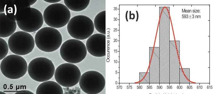 FIG. 1. (a) TEM micrograph of RE3þdopedsub-micrometerspheresafterannealing. (b) Histogram of the heightdistribution of the microspheres; the redline is the Gaussian ﬁt of the histogramand results in a mean size of 593 6 3 nmof the particles.