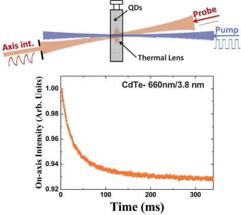 FIG. 5. (Color online) Fluorescence quantum yield of CdTe QDs solutionsas a function of QD emission wavelength (dot size)