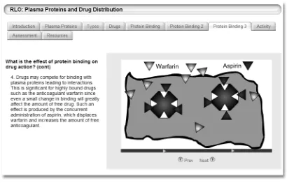 Figure 4. Screenshot from RLOs for Case Study 1