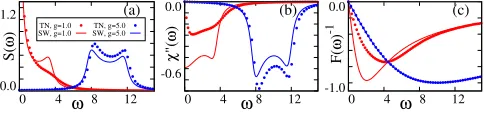 FIG. 5.Correlation functions for ∆ = 1, comparing MPSnumerics (points) with spin wave calculations (lines)