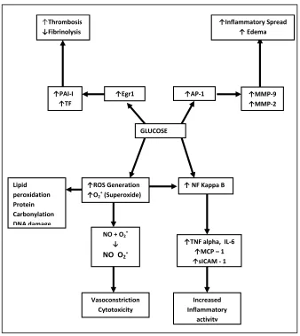 Figure 1.  Glucose Mediated Pro-inflammatory and Pro-Coagulant Effects 