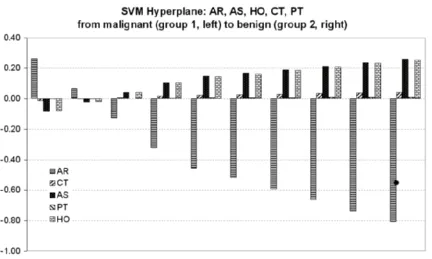 Figure 8. Reconstruction of the discriminant features captured by the SVM statistical learning approach on the ﬁve-step framework