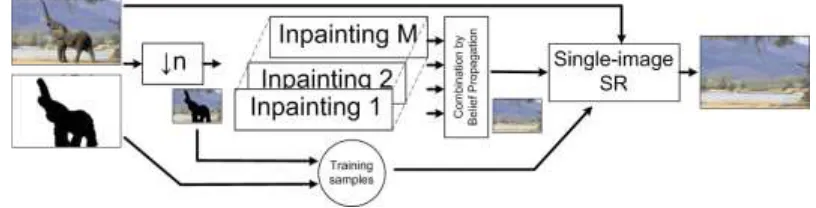 Fig. 1. The framework of the proposed method 
