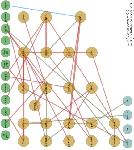 Figure 3.7: Three-layered Bayesian