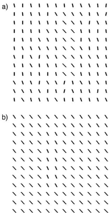 Figure 4. Examples of stimuli in Experiment 2. a) Orientation jitteris T5 degrees. b) Oblique line elements (no orientation jitter).