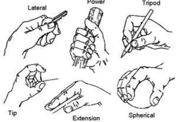 Figure 2. 3: The prehensile patterns (from (25)). 