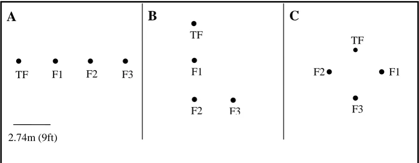 Figure 2 A schematic of the spatial patterns in which flowers were presented: A) linear, n = 3 
