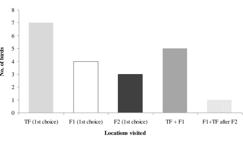 Figure 4 Locations visited during the second experimental stage (when F2 was the visible 
