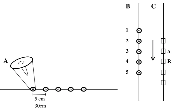 Figure 1 A schematic of the flower array, showing: A) the horizontal array with an insert 