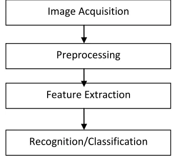 Figure. 1. Pattern Recognition Stages 