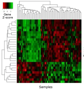 Figure 2Heat mapHeat map. Example of a heat map visualizing the expression values of selected genes (rows) across samples (columns).