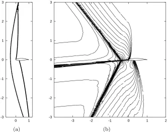 Figure 8:Supersonic BAC3-11 ﬂow. (a) Mach 1 isolines of the ﬂow solution; (b) z1 isolinesof adjoint solution, [52, 58].