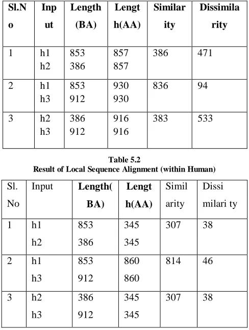 Table 5.2  Result of Local Sequence Alignment (within Human)