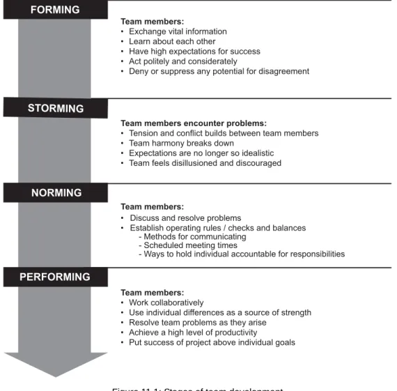 Figure 11.1: Stages of team development