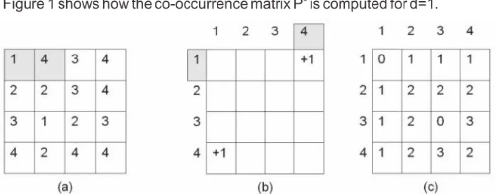 Figure 1 shows how the co-occurrence matrix P  is computed for d=1. 0
