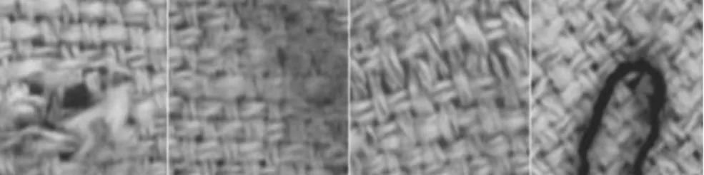 Figure  5: Samples of the 4 fabric classes contained in the TILDA dataset. 