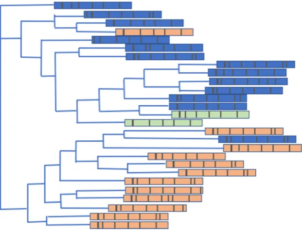 Fig. 3 Diagrammatic neighbour-joining tree showing therelationship of bacterialassemblages from sedimentsamples in replicate chambersunder flow and static conditionsbased on the analysis of aligned16S rRNA sequences