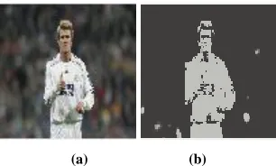 Figure 1. An example of low DOF image segmentation. (a)original low DOF image out of 117 testimages