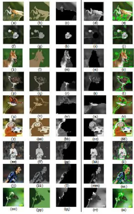 Figure 6. Original low DOF images and corresponding segmentation[ (a),(f),(k),(p),(u),(z),(ee),(jj),(oo)]is the original low DOF image, [(b),(g),(l),(q),(v),(aa),(ff),(kk),(pp)] image obtained in the processing of image preprocessing,[(c),(h),(m),(r),(w),(bb),(gg),(ll),(qq)] and [(d),(i),(n),(s),(x),(cc),(hh),(mm),(rr)]partition of images using graph cut method,[(e),(j),(o),(t),(y),(dd),(ii),(nn),(ss)] boundary saliency maps based on focused energy map 