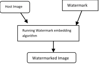 Figure 1Watermark embedding process 