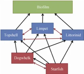 Fig. 1  Community interaction web, showing tropic inter-actions between species in black (arrow points from predator to prey) and competitive interactions in red 