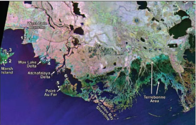 Figure 8:  Multi-temporal color composite image with flooded sites. The color ‘cyan’ 